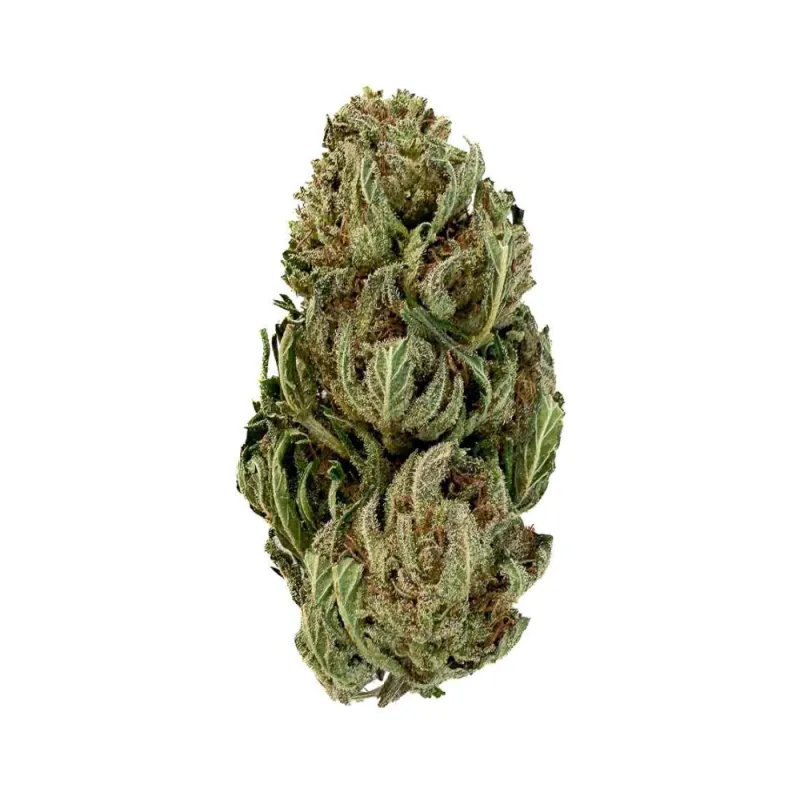 Fleur de CBD - Tangie Candy - Bud Mix - Green House