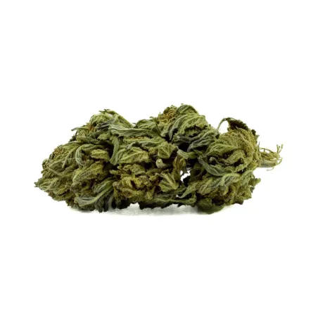 Fleur de CBD – Cheese – Bud Mix – Green House