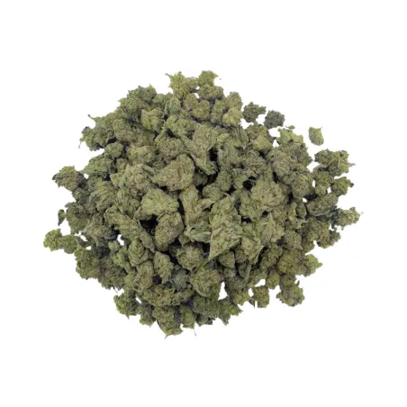 Fleur de CBD – La Charlotte's Angel CBD – Medium Bud