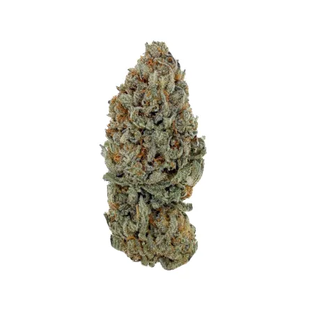 Fleur de CBD Sour Diesel THCX – Big Bud – Indoor-Cali