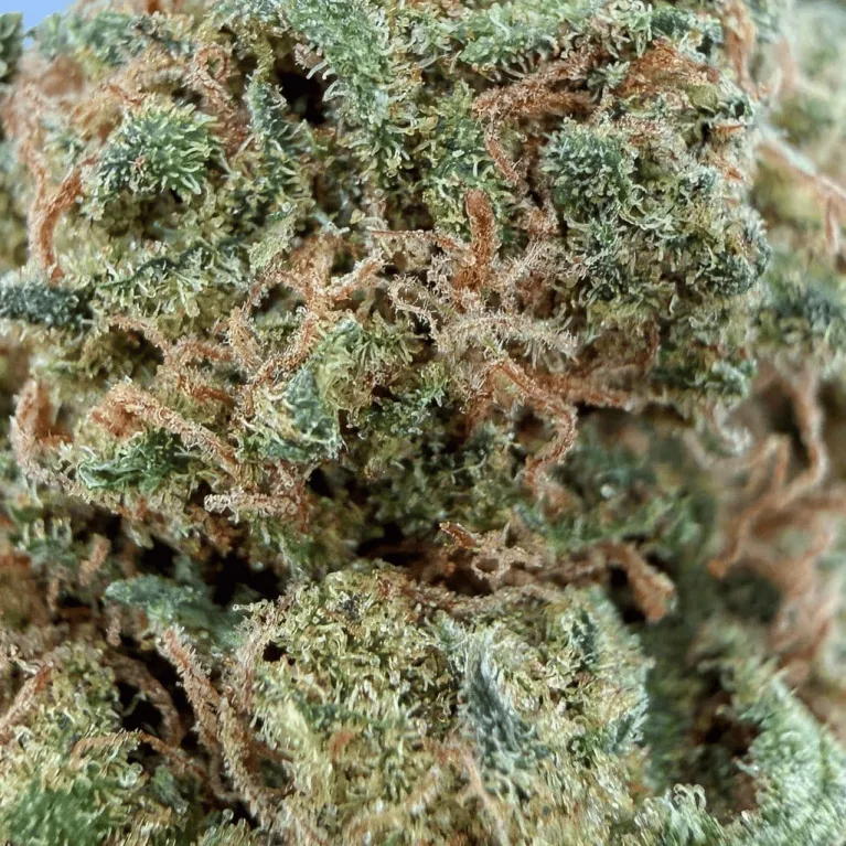 Fleur AK-47 CBD / Small Bud / Green-House