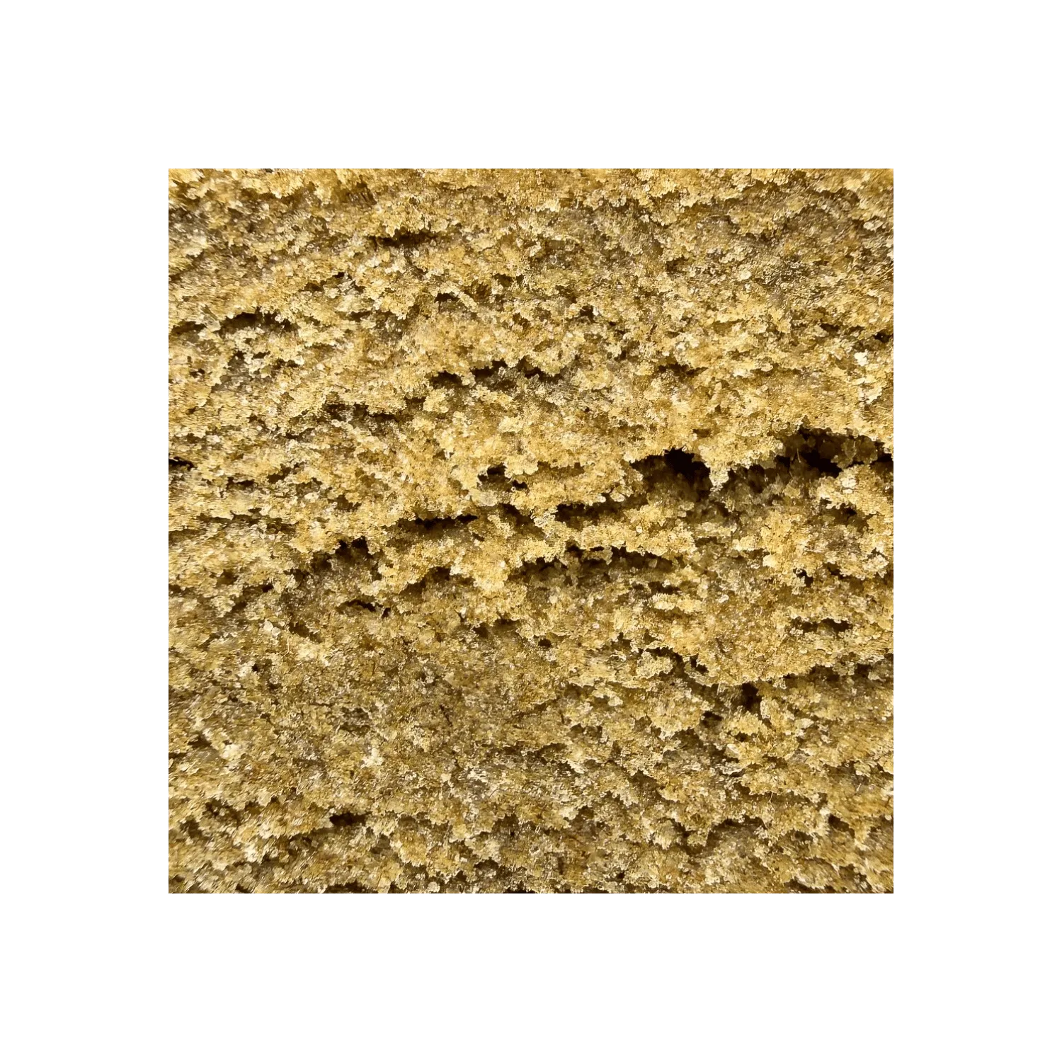 Résine Papaya Hash / THCX50% / X-tract