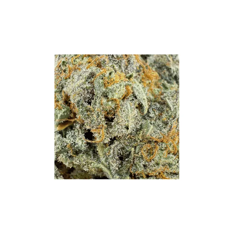 Fleur de CBD - ButterCream Gelato - Big Bud - Indoor Cali