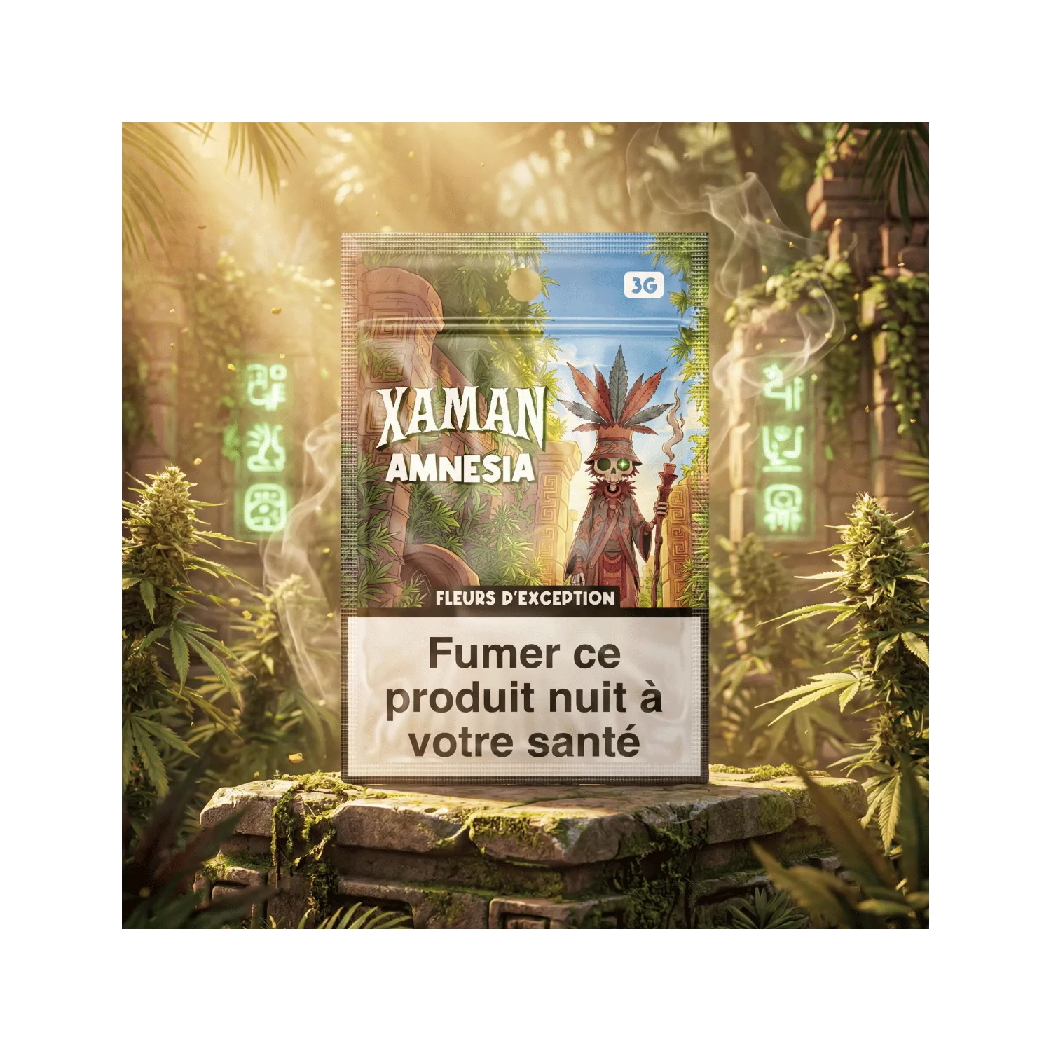 Fleur de CBD - Amnésia / Xaman