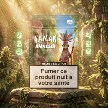 Fleur de CBD - Amnésia / Xaman
