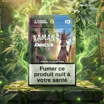 Fleur de CBD - Amnésia Chamanix / Xaman