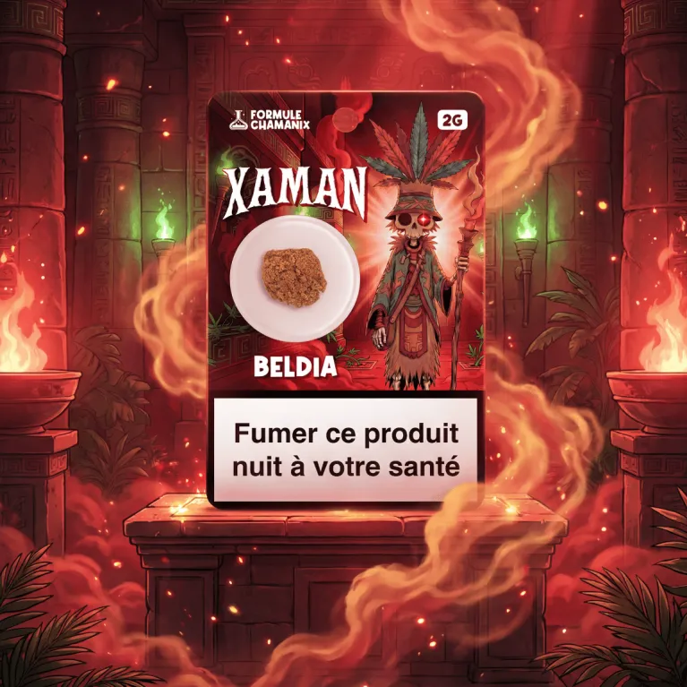 Résine Beldia Chamanix / Xaman