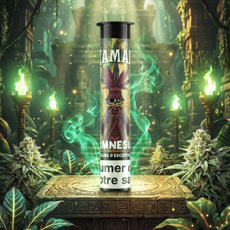 Pré Roll Amnésia / Chamanix