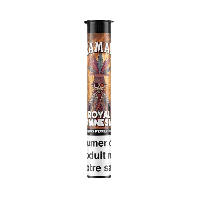 Pré Roll Royal Amnésia / Xaman