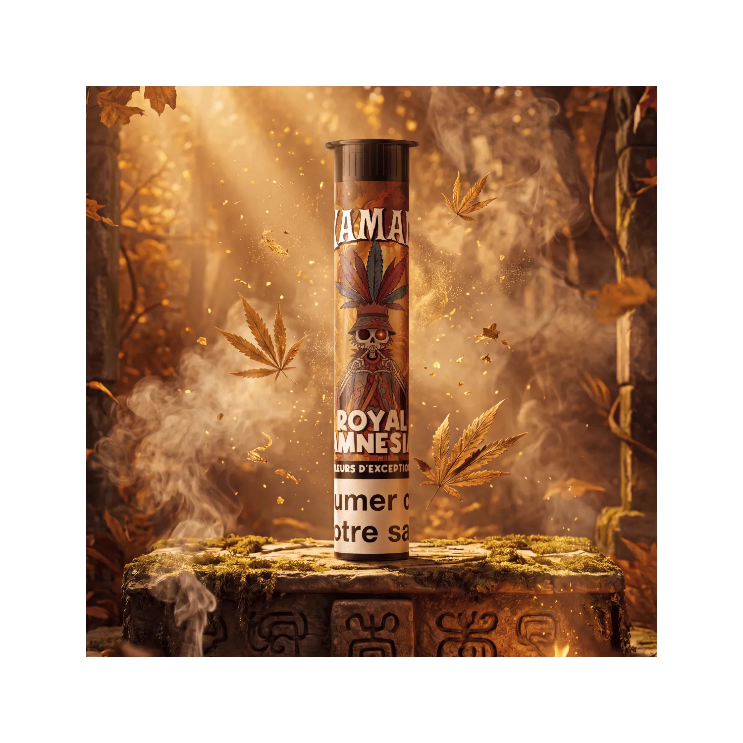 Pré Roll Royal Amnésia / Xaman