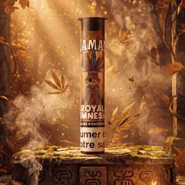 Pré Roll Royal Amnésia / Xaman