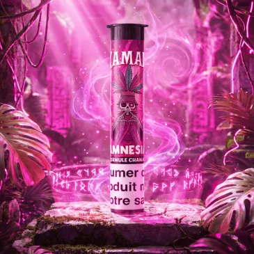 Pré Roll Amnésia Chamanix / Xaman