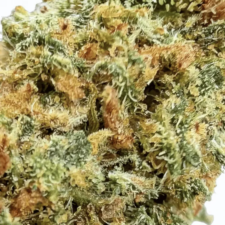 Fleur de CBD : Watermelon THCX 60% - Small Bud - Green House