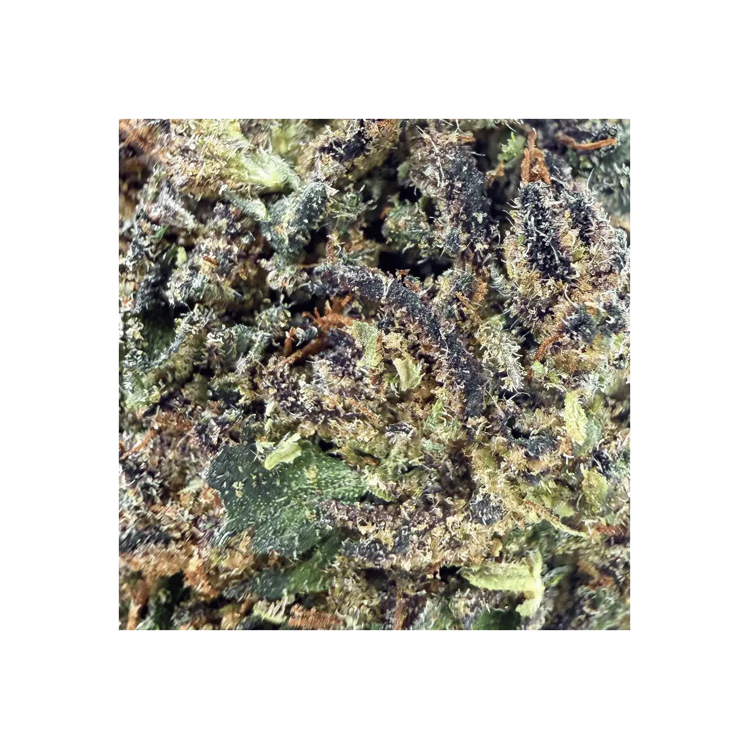 Fleur de CBD - Purple Kush THCX 30% - Bud Mix - Green House