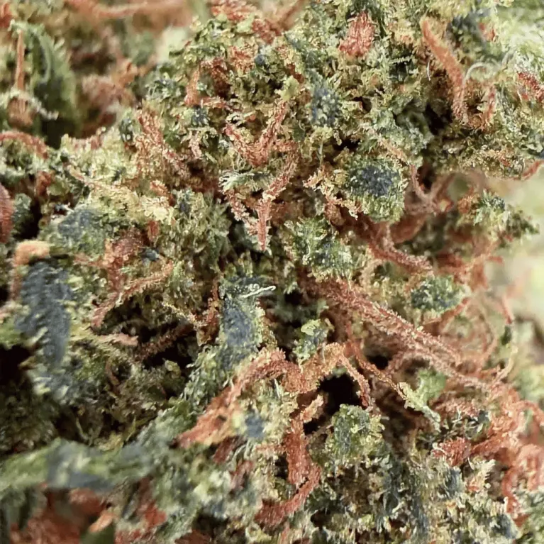 Fleur de CBD AK-47 THCX 60% / Small Bud / Green-House