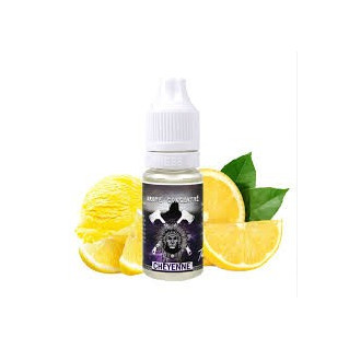 THE FABULOUS CHEYENNE+ Refill Master 100 ml