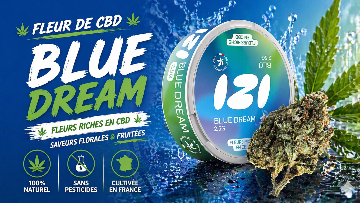 BLUE DREAM