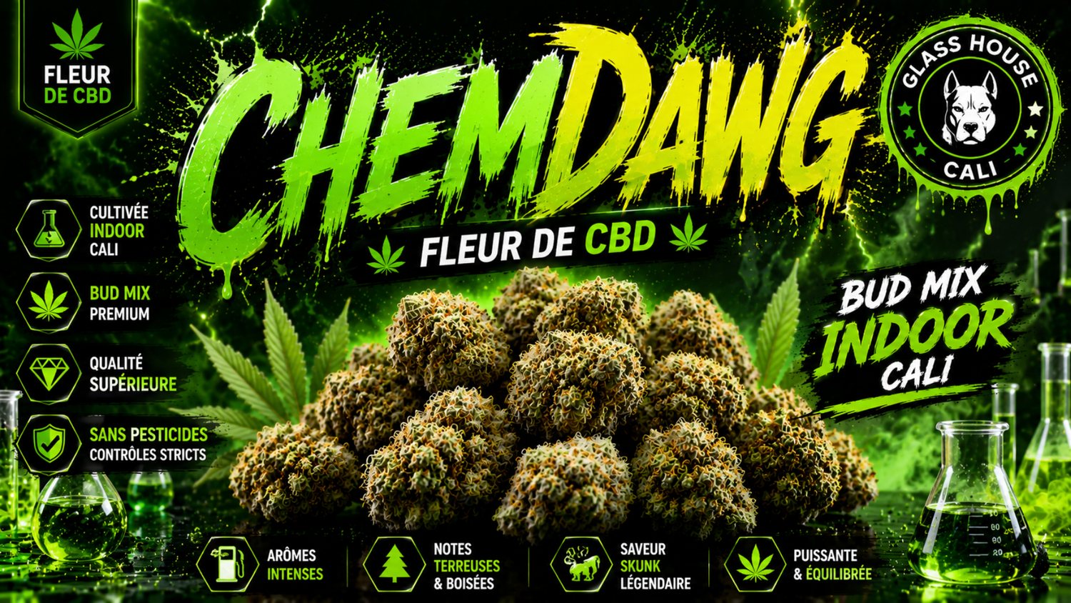CHEMDAWG