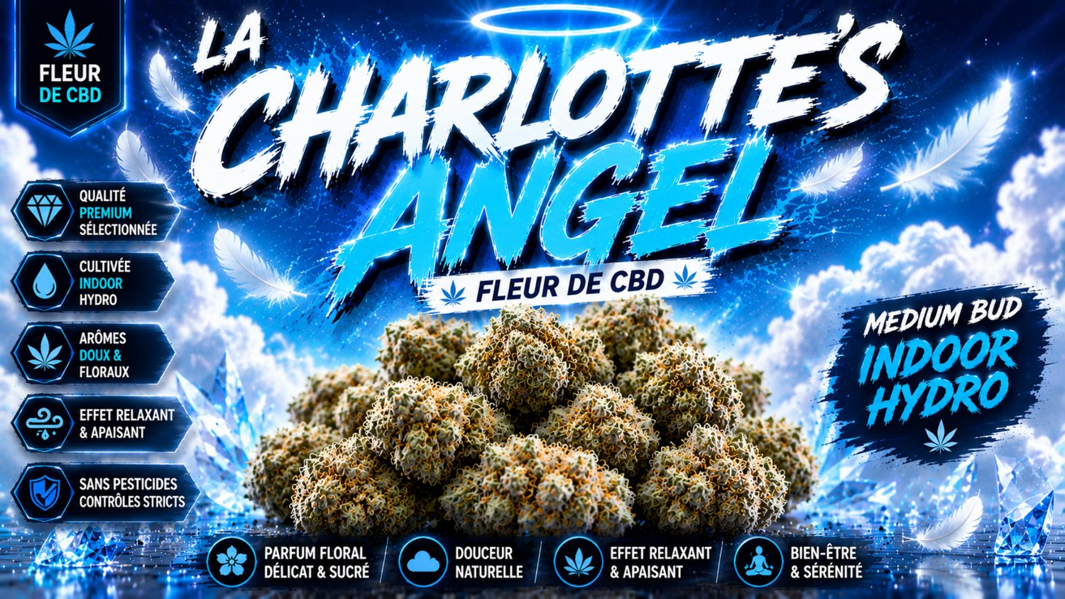 LA CHARLOTTE'S ANGEL