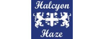 Halcyon Haze (GB)