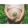 CBD pendant la grossesse : quels risques pour le bébé ?