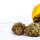 Médicaments à base de cannabis