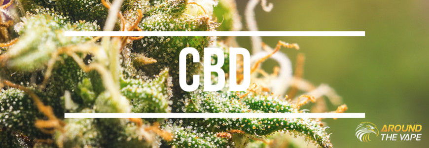 Infos et recettes CBD