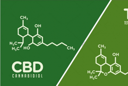 Quelles différences entre le CBD et le THC ?