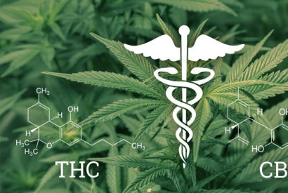Au Canada aussi, la teneur en THC des produits est « gonflée »