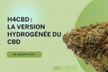 CBD vs H4CBD : quelle est la différence ?