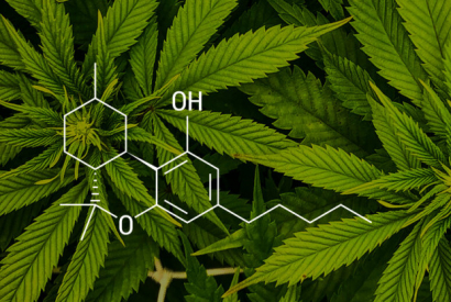La Suisse interdit les derniers cannabinoïdes synthétiques (HHCP, THCP, H4CBD…)