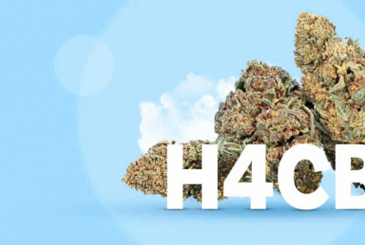 Qu’est ce que le H4CBD ? Un avenir du cannabis médicinal ?