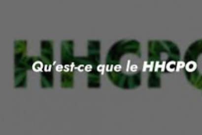 Quelles distinctions existent entre le H4CBD et le HHCPO ?