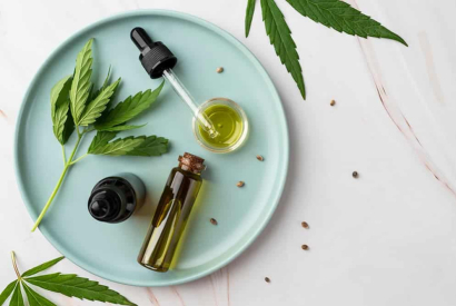 France : le point sur la consommation de CBD