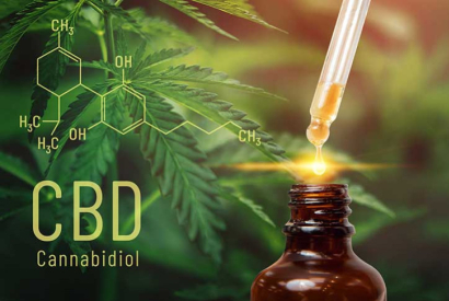 Le CBD, une option à explorer pour soulager la fibromyalgie
