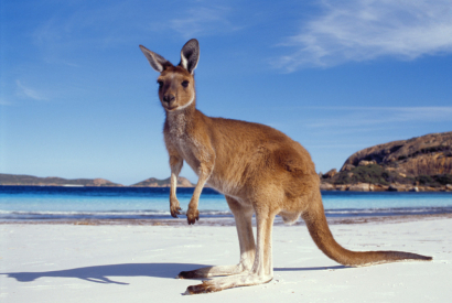 INTERDICTION DE VAPOTER EN AUSTRALIE : PLACE AU MARCHÉ NOIR