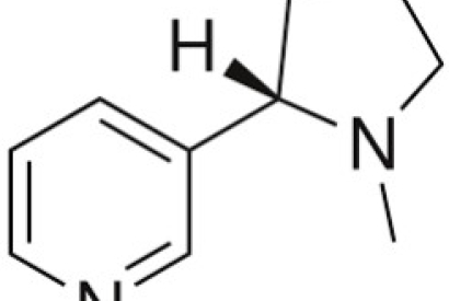 Des scientifiques révèlent le potentiel médicamenteux de la nicotine