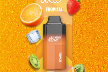 Test Wilo Max : un tout nouveau dispositif de vapotage est de sortie !