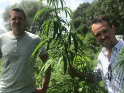 Santé et CBD : maladies neurodégénaratives