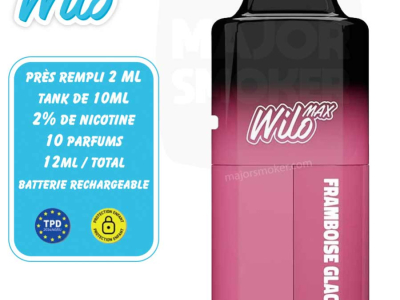 Technologies de la puff rechargeable : un avenir plus écologique pour la vape ?