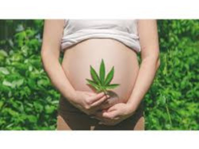 CBD pendant la grossesse : quels risques pour le bébé ?