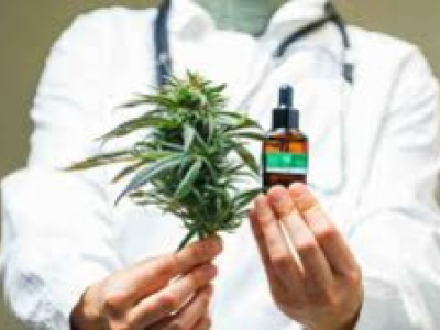 Cannabis thérapeutique : vers une autorisation en 2026 ?