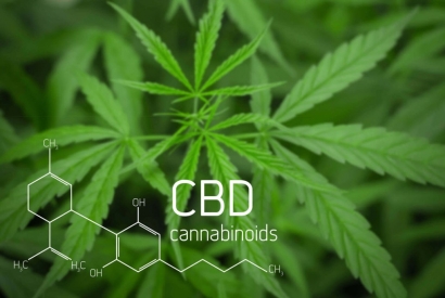 CBD et Paypal