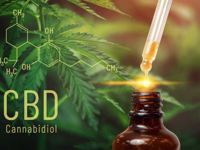 Une première victoire pour la filière CBD face à l’article 23