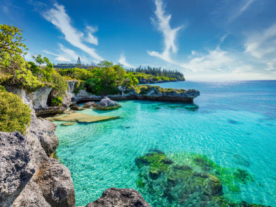 La Nouvelle-Calédonie prépare un cadre réglementé pour le chanvre tropical