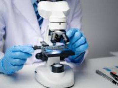 Des scientifiques néerlandais lèvent le voile sur l’origine du THC,du CBD et CBC