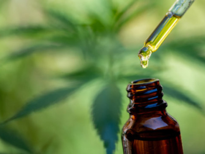 CBD : effet de mode ou réponse à un vrai besoin de société ?