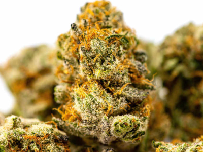 Pourquoi consommer du CBD sans THC ? Intérêt, avantages et profils concernés
