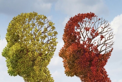 La nicotine aiderait à lutter contre Alzheimer