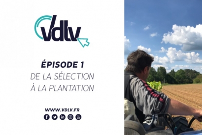EPISODE 1 – SÉLECTION ET PLANTATION DU TABAC